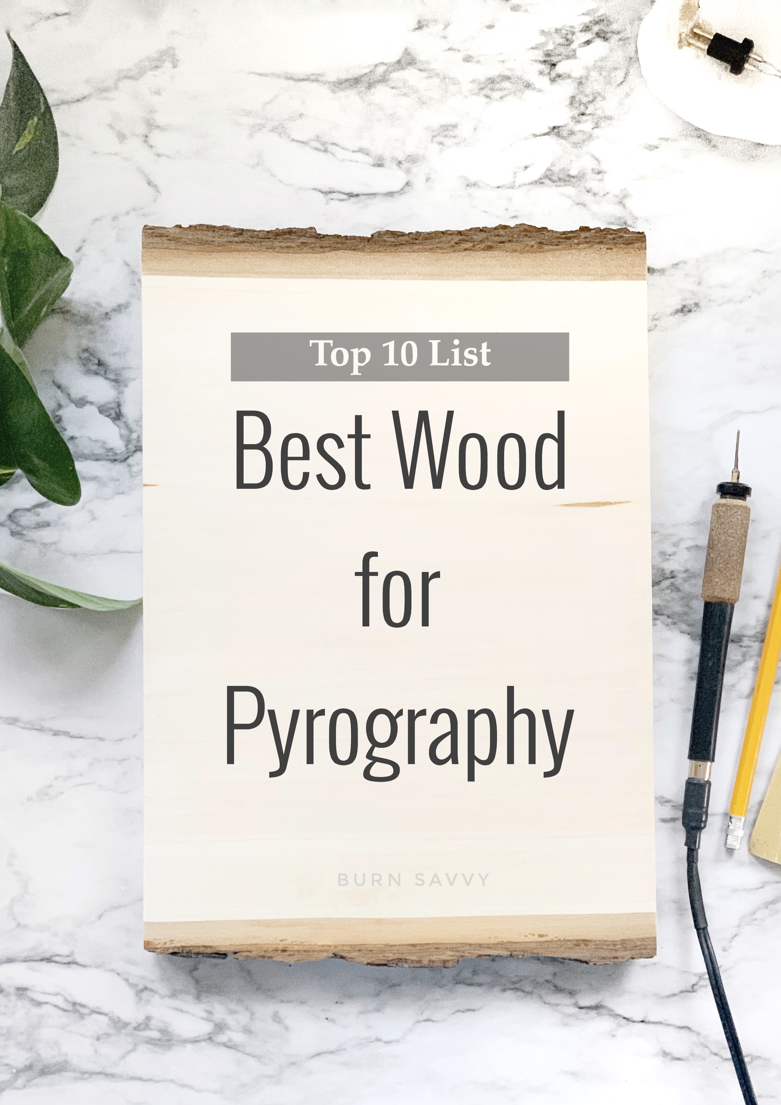 Best Wood for Pyrography: Top 10 List