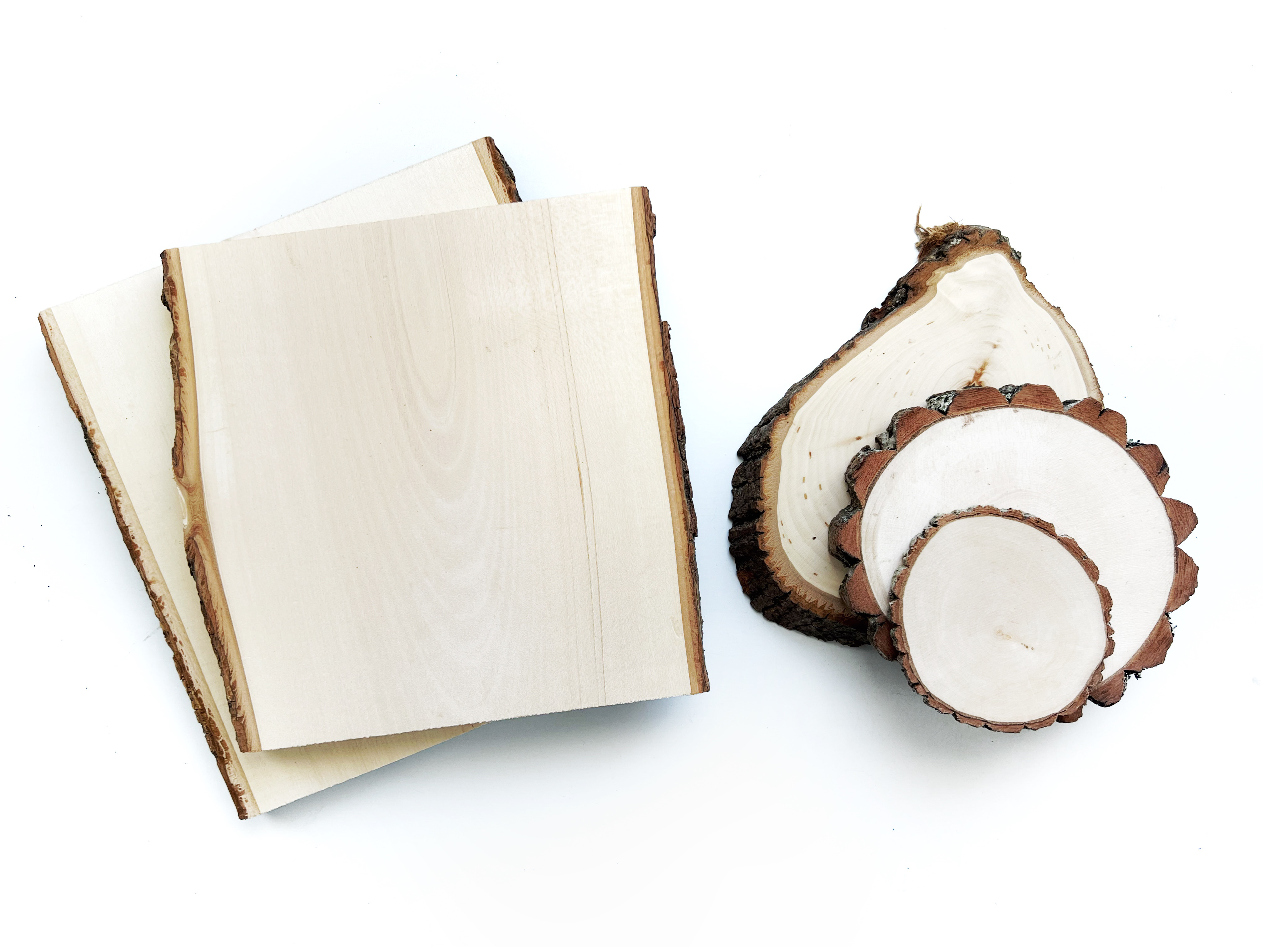 Wood slabs and slices with bark on them